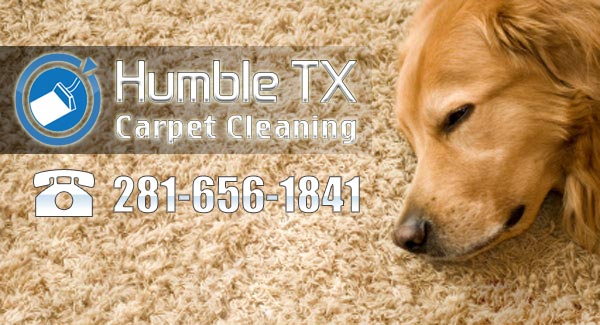 Humble TX Carpet Cleaning